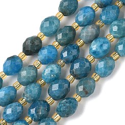 Natural Apatite Beads Strands&nbsp;G-F809-A34-01