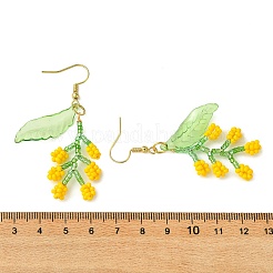 Glass & Acrylic Dangle Earrings&nbsp;EJEW-MZ00732