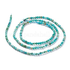 Natural HuBei Turquoise Beads Strands&nbsp;G-A026-A10-2mm