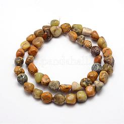 Natural Yellow Moss Agate Beads Strands&nbsp;G-F464-02