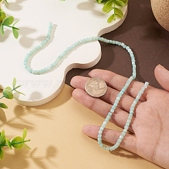 1 Strand Natural Freshwater Shell Dyed Beads Strands&nbsp;SHEL-TA0001-44A