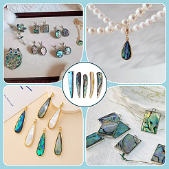 Natural Paua Shell Pendants&nbsp;FIND-WH0366-454