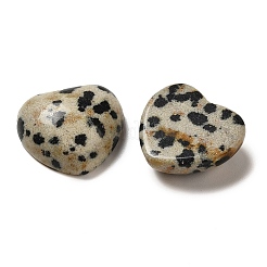 Natural Dalmatian Jasper Cabochons&nbsp;G-F776-02A-22