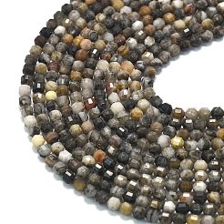 Natural Larvikite Beads Strands&nbsp;G-A260-A23-01