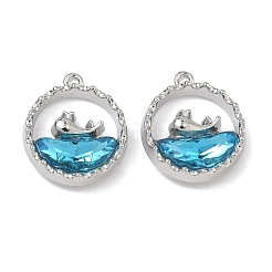 Alloy Glass Pendants&nbsp;FIND-B061-05P-A