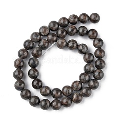 Natural Labradorite Beads Strands&nbsp;G-G0003-C03-10mm