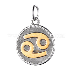 316 Surgical Stainless Steel Pendants&nbsp;STAS-S045-40