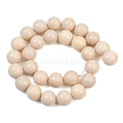 Natural Fossil Beads Strands&nbsp;G-E110-14mm-2