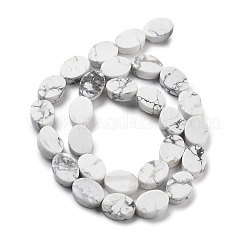Natural Howlite Beads Strands&nbsp;G-P559-B05-01