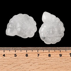 天然石クオーツクリスタルペンダント  上部に穴が開けられた両面彫刻のオウムガイ  29x25x9.5mm  穴：1mm&nbsp;G-NH0065-01A