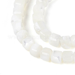 Natural Trochid Shell/Trochus Shell Beads Strands&nbsp;SSHEL-N041-04A-01