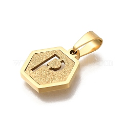 304 Stainless Steel Charms&nbsp;LS-STAS-H227-01G-P