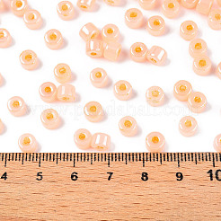 ガラスシードビーズ  セイロン  丸い穴  シリンダー  桃パフ  4x5.5mm  穴：1.8mm  約2500個/ポンド&nbsp;SEED-T008-01C