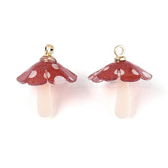 Plastic Pendants&nbsp;KY-N015-118A-01