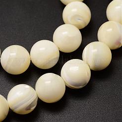 Natural Sea Shell Beads Strands&nbsp;SSHEL-K013-12mm-A