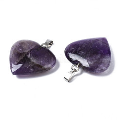 Natural Amethyst Pendants&nbsp;G-S364-081B-01