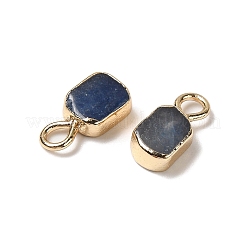 Dyed & Heated Natural Blue Aventurine Rectangle Charms&nbsp;G-Q169-07G-07
