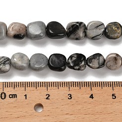 Natural Black Netstone Beads Strands&nbsp;G-P497-01E-73