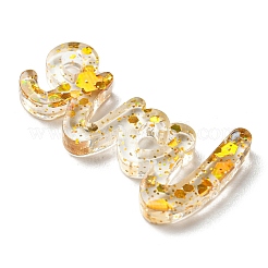 Transparent Acrylic Cabochons&nbsp;LS-TACR-Z001-01D