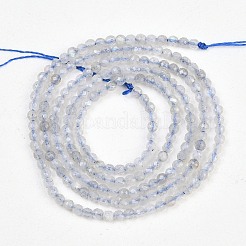Natural Labradorite Beads Strands&nbsp;G-RM250104-B4