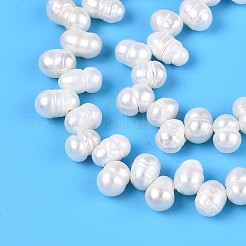 Natural Cultured Freshwater Pearl Beads Strands&nbsp;PEAR-T006-09