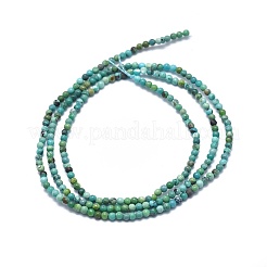 天然石湖北ターコイズビーズ連売り  ラウンド  2mm  穴：0.5mm  約195個/連  15.35インチ（39cm）&nbsp;G-A177-04-15
