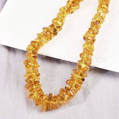 Natural Amber Chip Beaded Necklaces&nbsp;NJEW-L466-03B