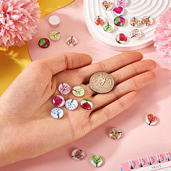 24Pcs 12 Style Glass Cabochon&nbsp;GLAA-TA0001-71