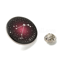 Twelve Constellation Creative Alloy Badges Constellation Brooches&nbsp;LS-JEWB-S033-01P-A