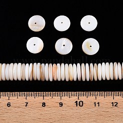 天然淡水シェルビーズ連売り  ディスク  ヒシビーズ  アンティークホワイト  10x2mm  穴：0.6mm  約159個/連  14.17''（36センチメートル）&nbsp;X-SSHEL-T017-02