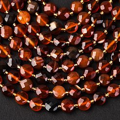 Natural Carnelian Beads Strands&nbsp;G-K389-B43-01
