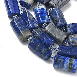 Natural Lapis Lazuli Beads Strands&nbsp;G-C270-K10