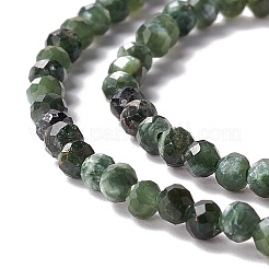 Natural Seraphinite Beads Strands&nbsp;LS-G-A021-07B
