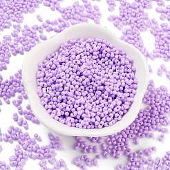 Baking Paint Glass Seed Beads&nbsp;SEED-A033-05J