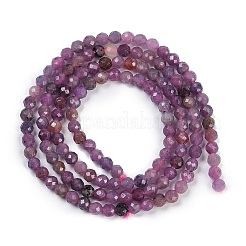 Natural Ruby Beads Strands&nbsp;G-H081-B01-01
