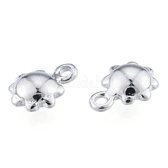 Brass Charms&nbsp;KK-L207-005P