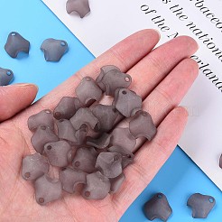 透明なアクリルビーズ  艶消し  花びら  濃いグレー  15x14.5x5mm  穴：2mm&nbsp;X-MACR-S373-106-D02