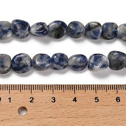Natural Blue Spot Jasper Beads Strands&nbsp;G-P497-01E-67
