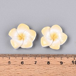 プルメリアの花の不透明樹脂カボション  ナバホホワイト  20~21x20~21x4.5~5mm&nbsp;CRES-T025-30B-02