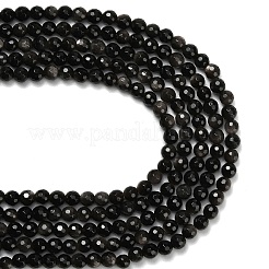 Natural Silver Obsidian Beads Strands&nbsp;G-C280-B08-6mm