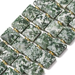 Natural Green Spot Jasper Beads Strands&nbsp;G-F839-A23-01