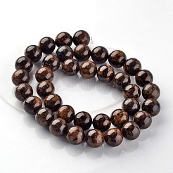 Natural Bronzite Round Beads Strands&nbsp;G-E330-10mm-03
