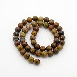 Natural Petrified Wood Round Bead Strands&nbsp;G-P070-64-4mm