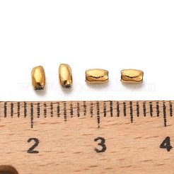 304 Stainless Steel Beads&nbsp;STAS-D204-01G