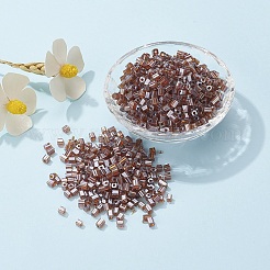 6/0 Glass Seed Beads&nbsp;SEED-YW0001-25J