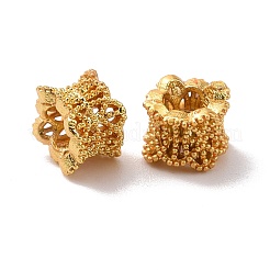 Eco-friendly Brass European Beads&nbsp;KK-D079-09G