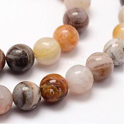 Natural Bamboo Leaf Agate Beads Strands&nbsp;G-F364-02-8mm