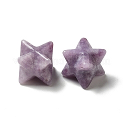 Natural Lepidolite/Purple Mica Stone Beads&nbsp;G-A206-01B-38