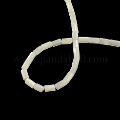 Column Natural Trochid Shell/Trochus Shell Beads Strands&nbsp;SSHEL-F290-26
