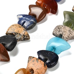 Natural & Synthetic Mixed Gemstone Beads Strands&nbsp;G-Z088-03